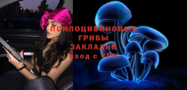 PSILOCYBIN Покров