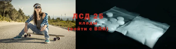 PSILOCYBIN Покров