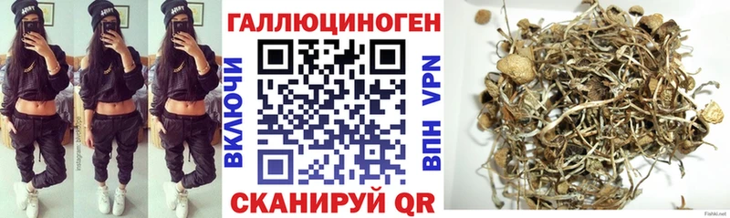 Галлюциногенные грибы прущие грибы  Галич 
